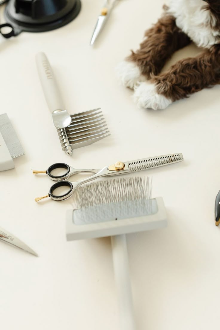 Higiene e segurança no cuidado com pets - ambiente profissional e limpo