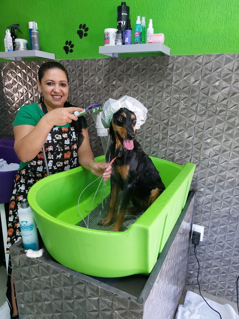 Foto principal da Bete (PLACEHOLDER: substituir por bete/bete-main.jpg)